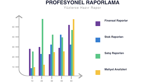 Profesyonel Raporlar